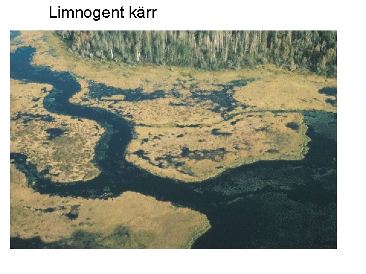 Limnogent kärr 