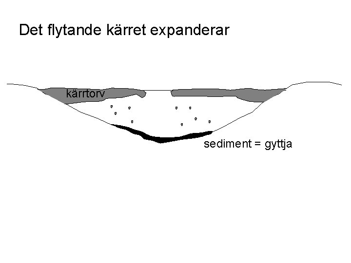 Det flytande kärret expanderar kärrtorv sediment = gyttja 