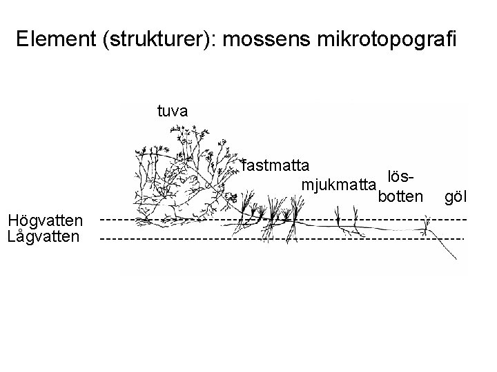 Element (strukturer): mossens mikrotopografi tuva fastmatta mjukmatta lösbotten Högvatten Lågvatten göl 