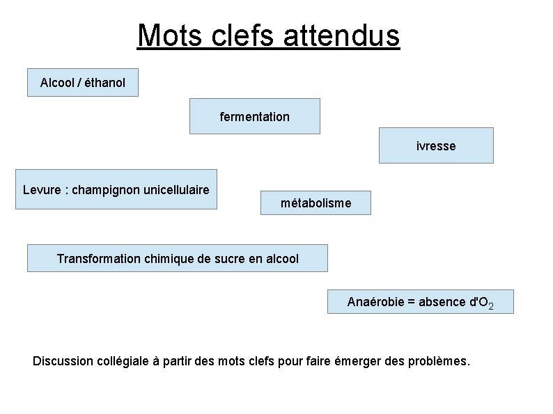 Mots clefs attendus Alcool / éthanol fermentation ivresse Levure : champignon unicellulaire métabolisme Transformation