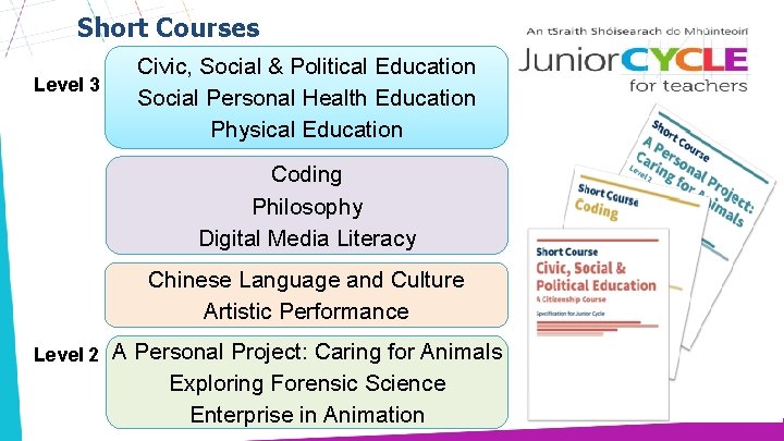 Short Courses Level 3 Civic, Social & Political Education Social Personal Health Education Physical