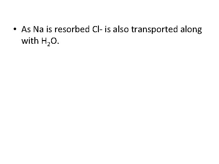  • As Na is resorbed Cl- is also transported along with H 2