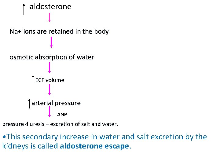 aldosterone Na+ ions are retained in the body osmotic absorption of water ECF volume