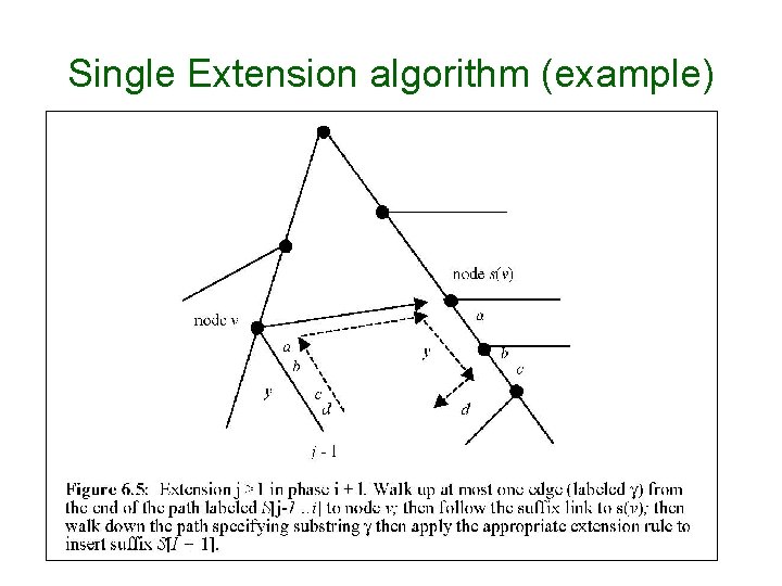 Single Extension algorithm (example) 