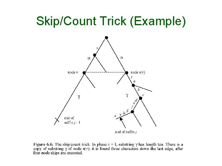 Skip/Count Trick (Example) 