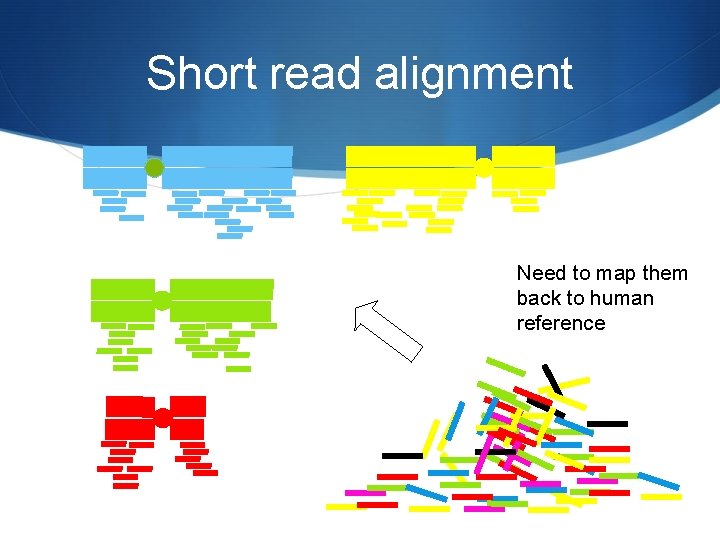 Short read alignment Need to map them back to human reference 