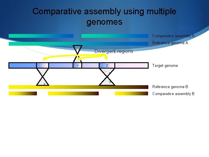 Whole Genome Sequencing Assembly and Annotation Strategy Libraries