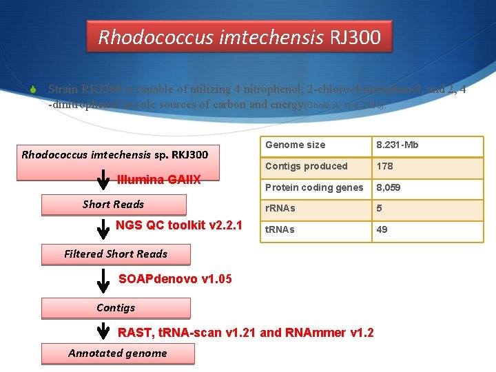 Rhodococcus imtechensis RJ 300 S Strain RKJ 300 is capable of utilizing 4 nitrophenol,