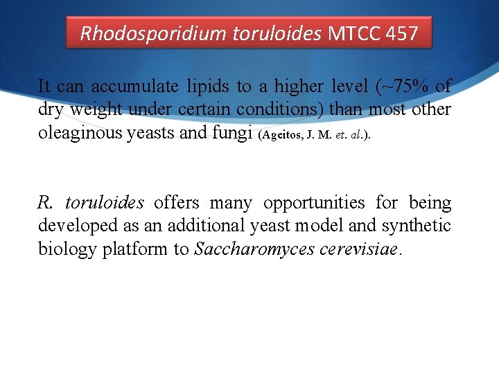 Rhodosporidium toruloides MTCC 457 It can accumulate lipids to a higher level (~75% of