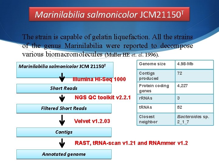 Marinilabilia salmonicolor JCM 21150 T The strain is capable of gelatin liquefaction. All the