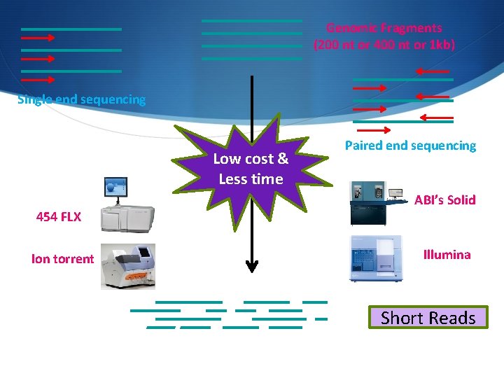 Genomic Fragments (200 nt or 400 nt or 1 kb) Single end sequencing Low