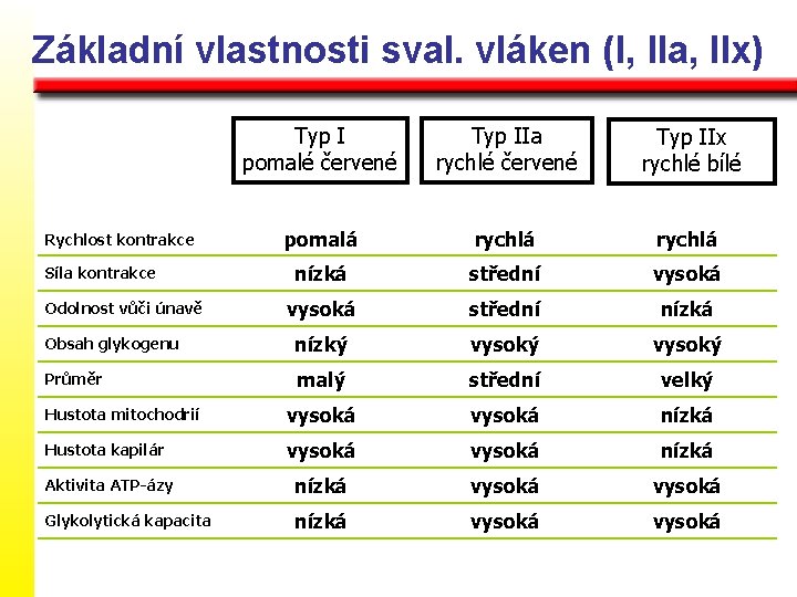 Základní vlastnosti sval. vláken (I, IIa, IIx) Typ I pomalé červené Typ IIa rychlé