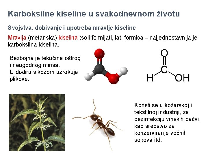 Karboksilne kiseline u svakodnevnom životu Svojstva, dobivanje i upotreba mravlje kiseline Mravlja (metanska) kiselina