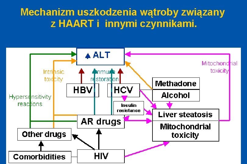 Mechanizm uszkodzenia wątroby związany z HAART i innymi czynnikami. ODTA Chorzów 