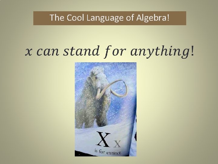 The Cool Language of Algebra! 