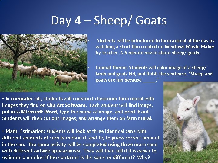 Day 4 – Sheep/ Goats • Students will be introduced to farm animal of
