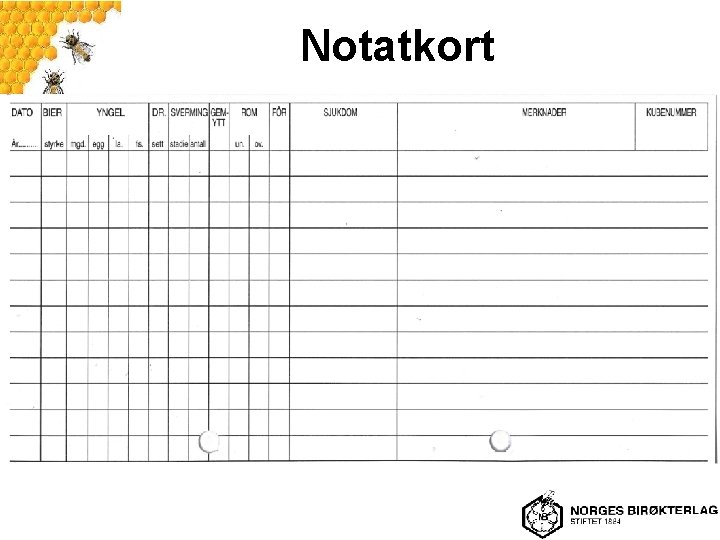 Notatkort 