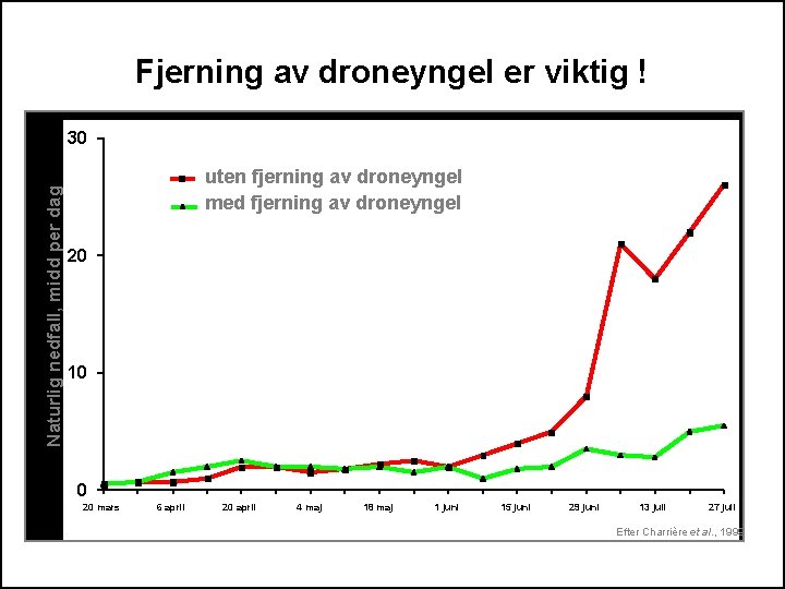 Fjerning av droneyngel er viktig ! Naturlig nedfall, midd per dag 30 uten fjerning