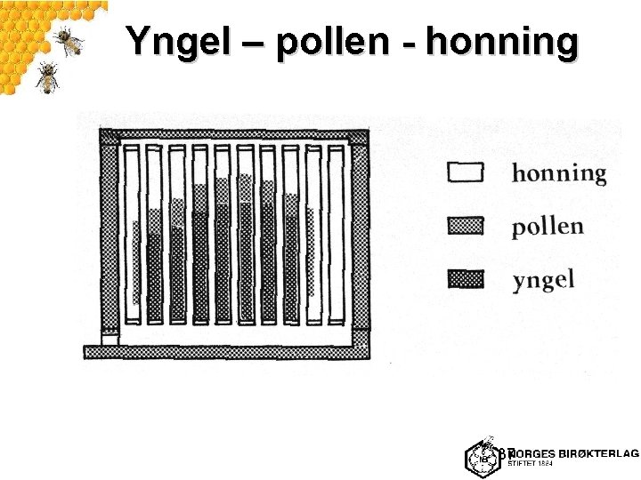 Yngel – pollen - honning 37 