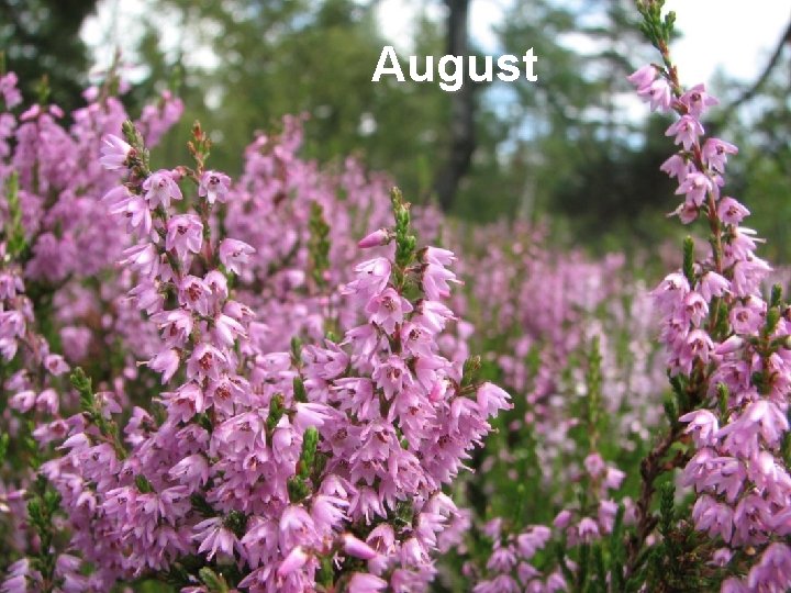 August 