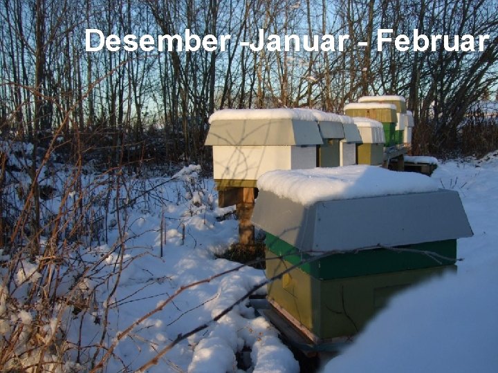 Desember -Januar - Februar 