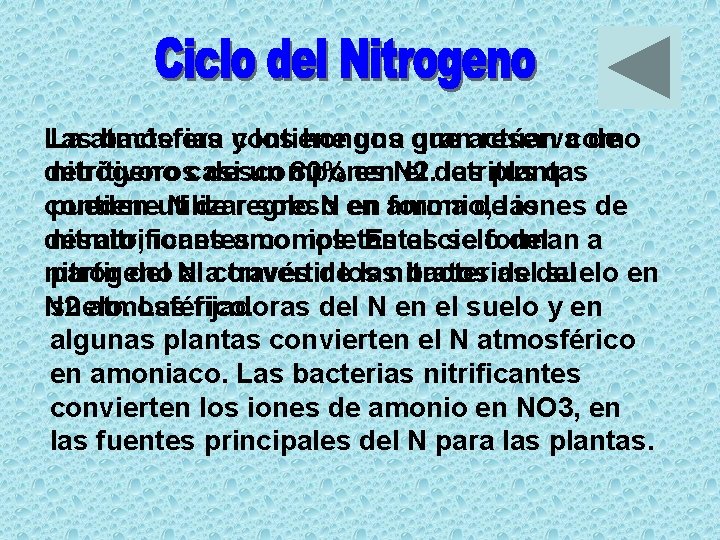 Las bacterias y los hongos La atmósfera contiene una que granactúan reservacomo de detritivoros