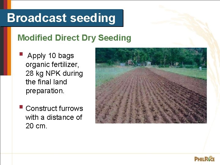Broadcast seeding Modified Direct Dry Seeding § Apply 10 bags organic fertilizer, 28 kg