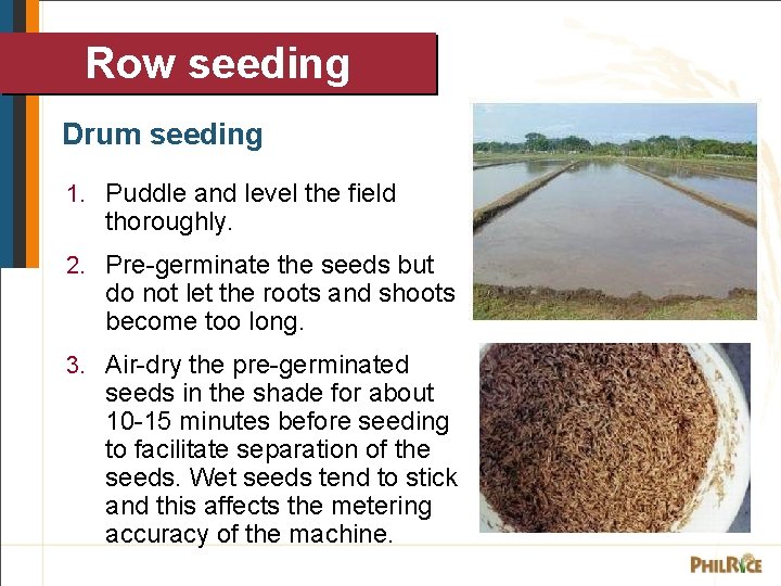 Row seeding Drum seeding 1. Puddle and level the field thoroughly. 2. Pre-germinate the