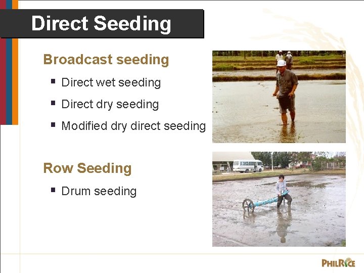 Direct Seeding Broadcast seeding § Direct wet seeding § Direct dry seeding § Modified