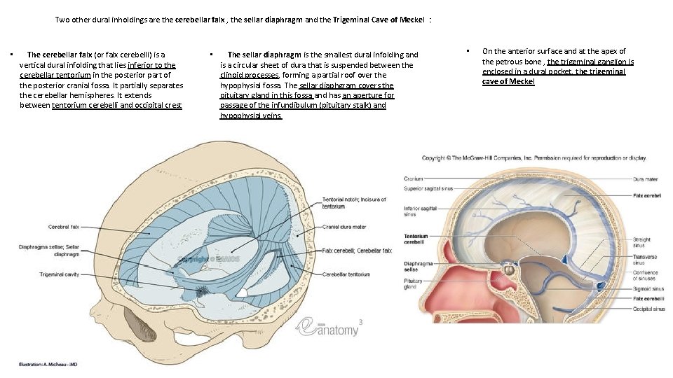 Two other dural inholdings are the cerebellar falx , the sellar diaphragm and the