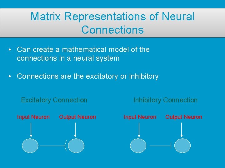 Matrix Representations of Neural Connections • Can create a mathematical model of the connections