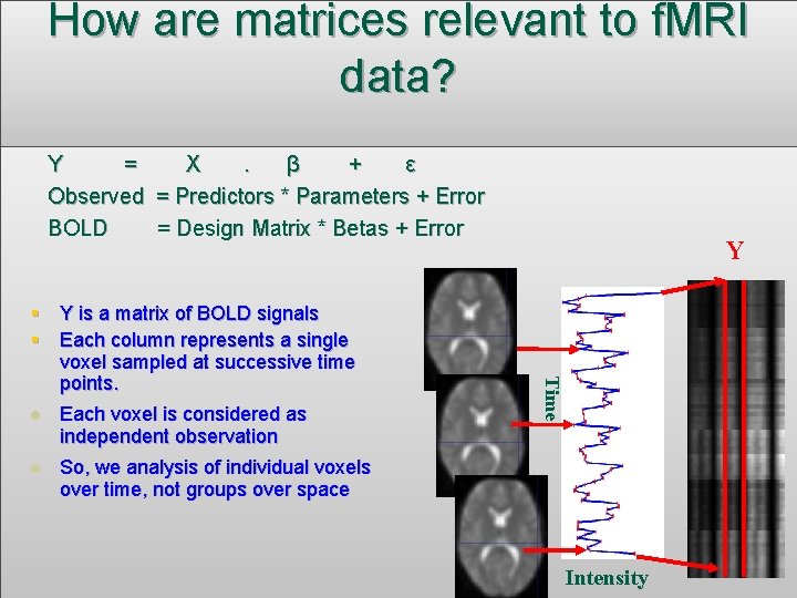 How are matrices relevant to f. MRI data? Y = X. β + ε