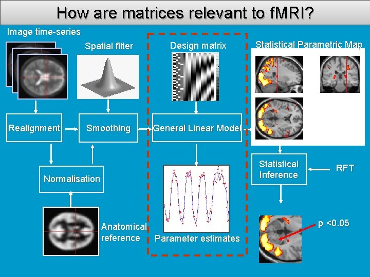 How are matrices relevant to f. MRI? Image time-series Realignment Spatial filter Design matrix