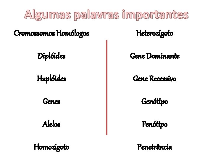 Algumas palavras importantes Cromossomos Homólogos Heterozigoto Diplóides Gene Dominante Haplóides Gene Recessivo Genes Genótipo