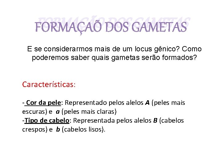 FORMAÇÃO DOS GAMETAS E se considerarmos mais de um locus gênico? Como poderemos saber