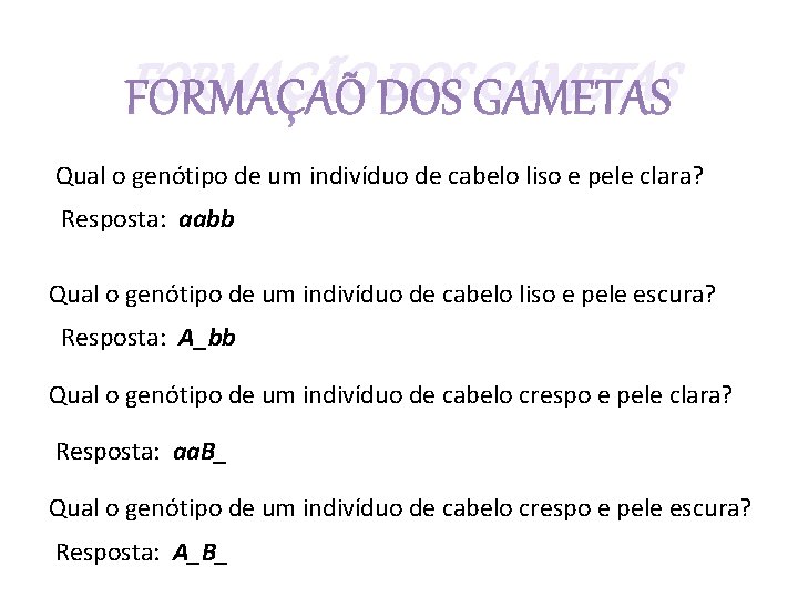 FORMAÇÃO DOS GAMETAS Qual o genótipo de um indivíduo de cabelo liso e pele