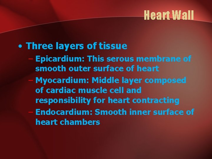 Heart Wall • Three layers of tissue – Epicardium: This serous membrane of smooth