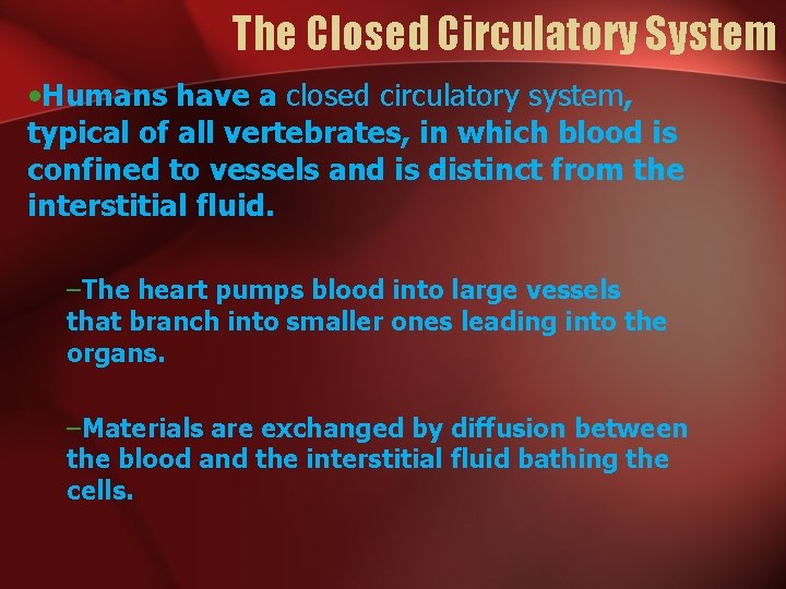 The Closed Circulatory System • Humans have a closed circulatory system, typical of all