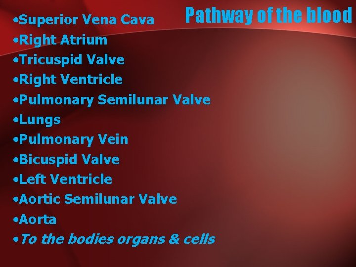 Pathway of the blood • Superior Vena Cava • Right Atrium • Tricuspid Valve