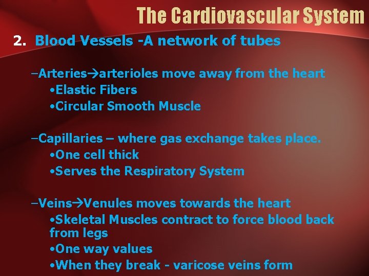 The Cardiovascular System 2. Blood Vessels -A network of tubes –Arteries arterioles move away