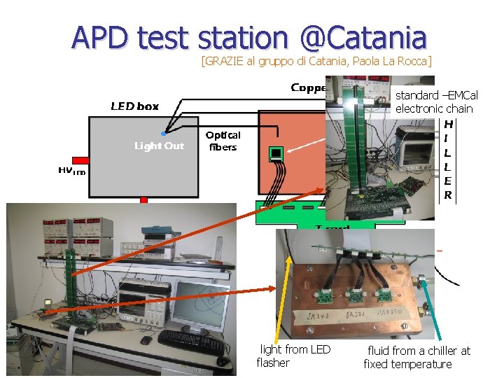 APD test station @Catania [GRAZIE al gruppo di Catania, Paola La Rocca] standard –EMCal