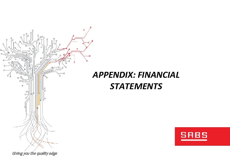 APPENDIX: FINANCIAL STATEMENTS Giving you the quality edge 