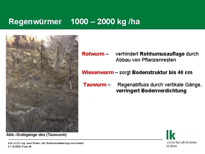 Regenwürmer 1000 – 2000 kg /ha Rotwurm – verhindert Rohhumusauflage durch Abbau von Pflanzenresten