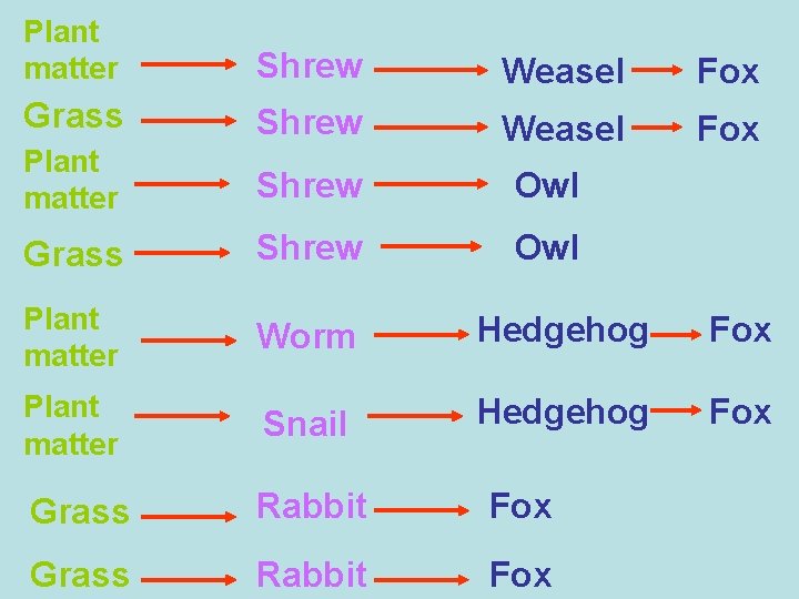 Plant matter Shrew Weasel Fox Grass Shrew Plant matter Weasel Fox Shrew Owl Grass