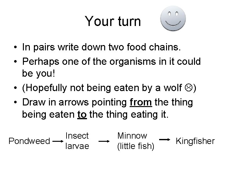 Your turn • In pairs write down two food chains. • Perhaps one of