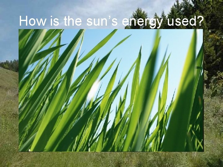 How is the sun’s energy used? 