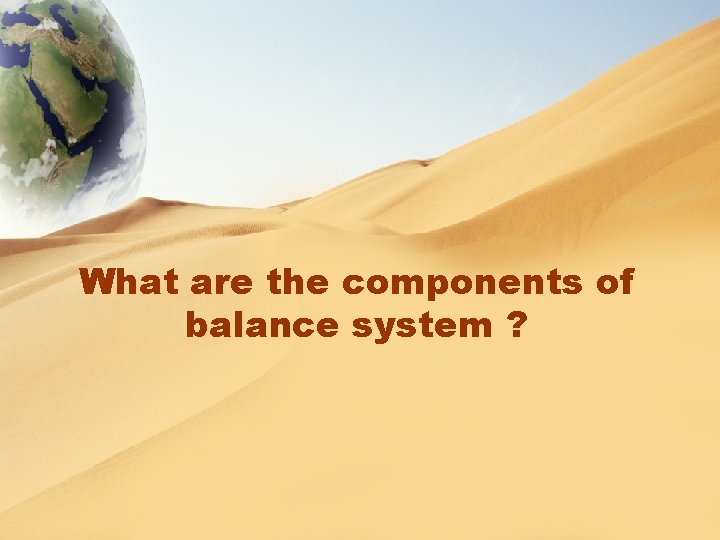 What are the components of balance system ? 