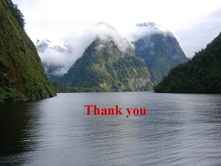 Thank you 