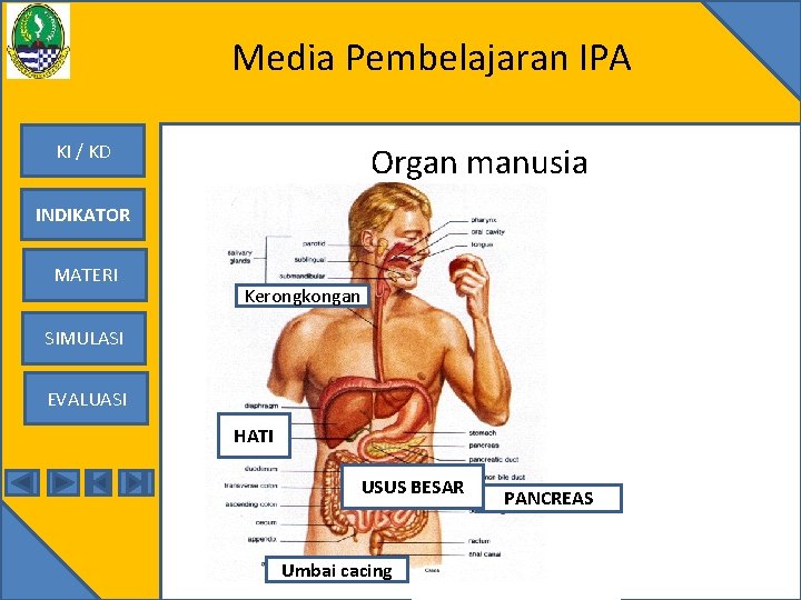 Media Pembelajaran IPA KI / KD Organ manusia INDIKATOR MATERI Kerongkongan SIMULASI EVALUASI HATI