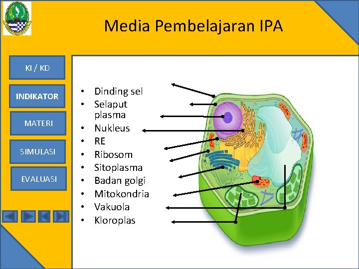 Media Pembelajaran IPA KI / KD INDIKATOR MATERI SIMULASI EVALUASI • Dinding sel •